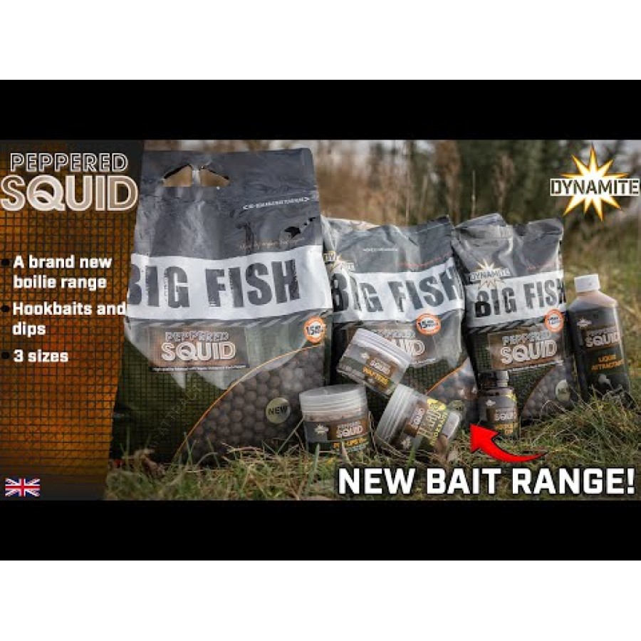Μπάλες DB Peppered Squid Hard Hookbaits