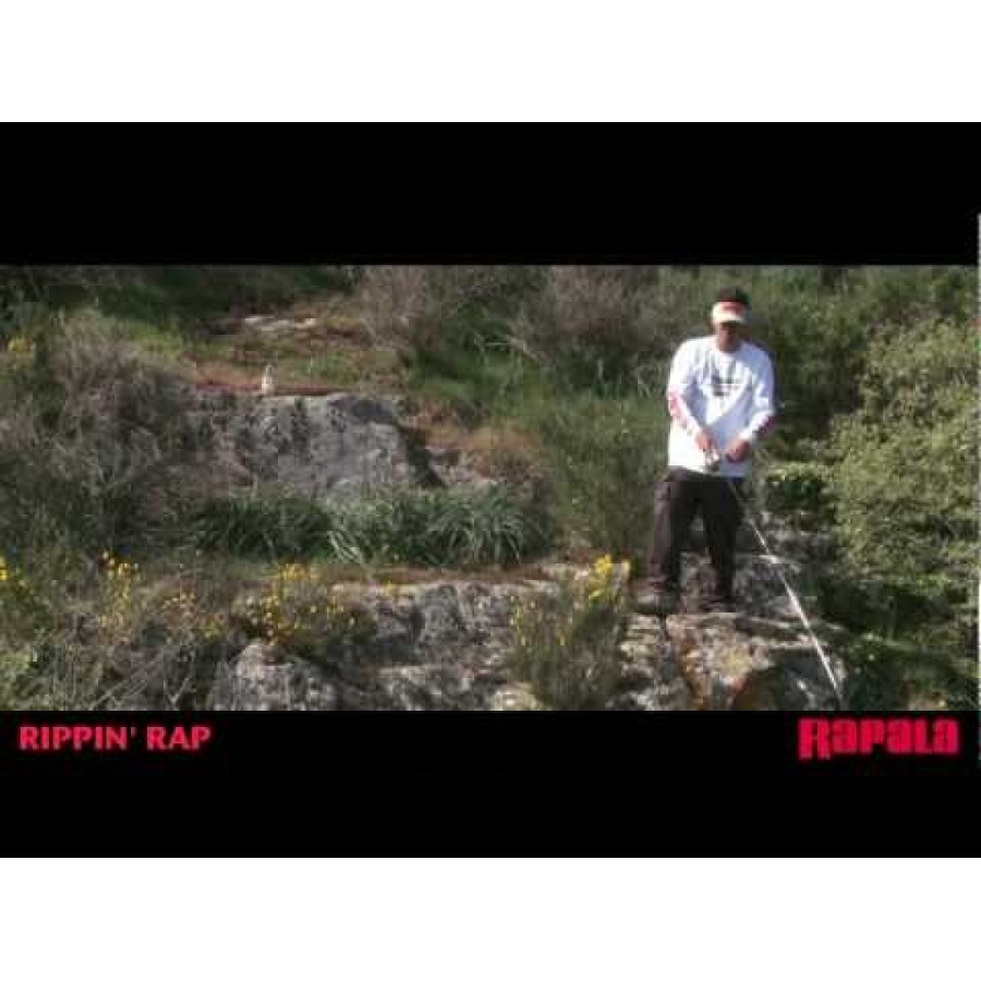 Rippin' Rap