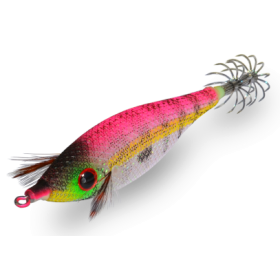 Calamar Pirka Premium DTD